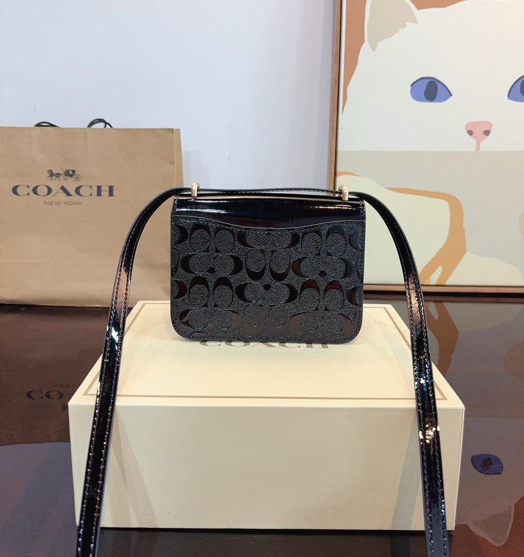 ✨ COACH Clear Accordion Bag ✨