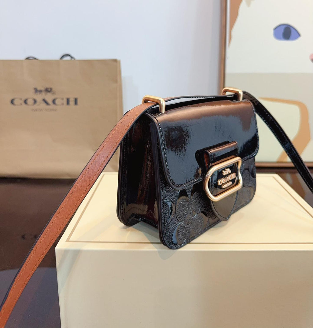 ✨ COACH Clear Accordion Bag ✨