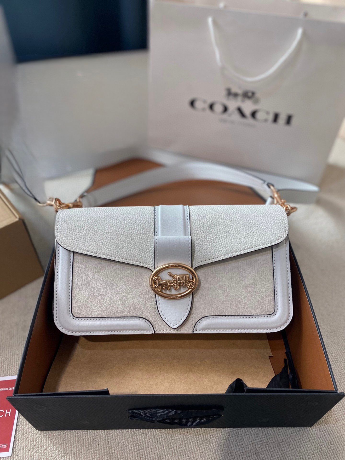 COACH Georgie Retro Armpit Bag ✨