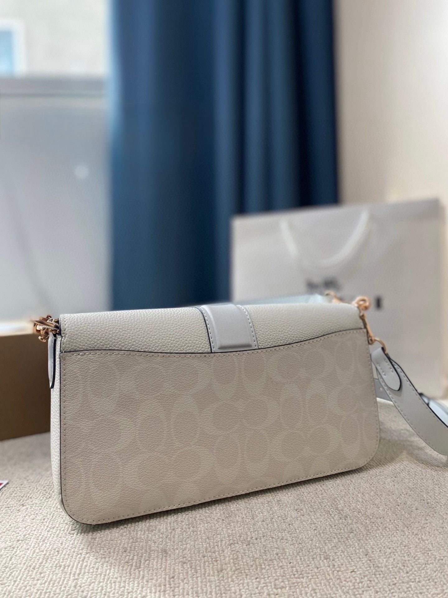 COACH Georgie Retro Armpit Bag ✨